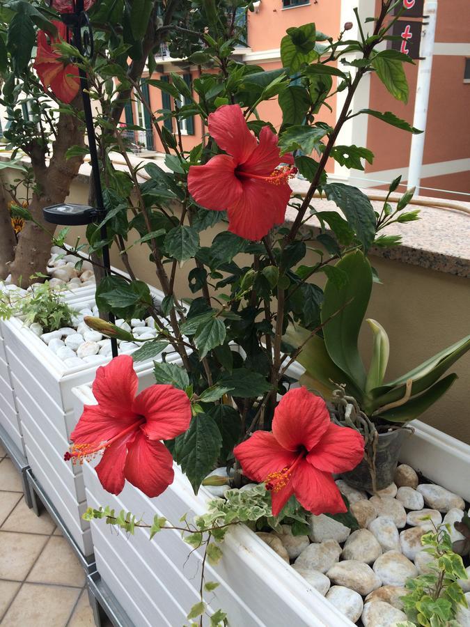 B&B Borgo Marina Бордигера Экстерьер фото